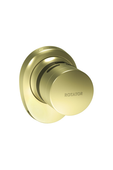 Электронный замок ROTATOR EL. RT01.01 SG Мат золото Электронный замок ROTATOR EL. RT01.01 SG Мат золото
